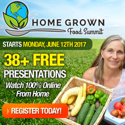 Homegrown Food Summit 2017