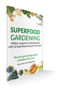 Grow your own superfoods guide