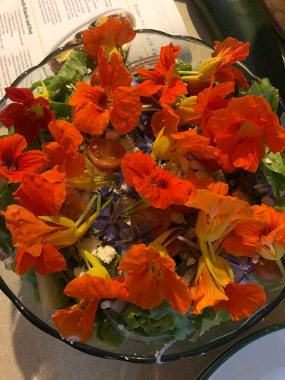 Salad with edible flowers