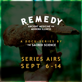 Remedy docuseries