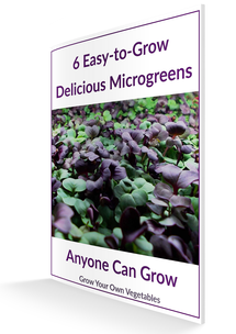 Microgreens growing guide