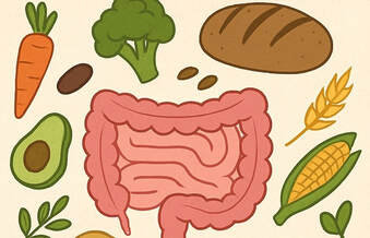 Dietary fiber and gut health