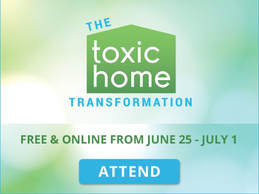 Toxic Home Transformation Summit