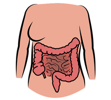 Leaky gut syndrome